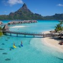 파라다이스 이미지