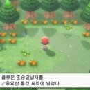 피오네 이미지