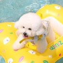 위니즈몰