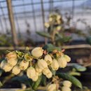 해피농장 이미지