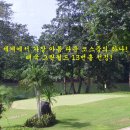 해피관광하나투어 이미지