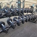 피티몽키위드레몬 이미지