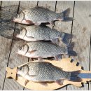 회암소류지 이미지