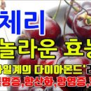 체리 효능 부작용 및 칼로리 보관법 정리 이미지