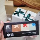 애니 신정 | 2025 카페&amp;베이커리페어 마곡 코엑스 내돈내산 방문후기