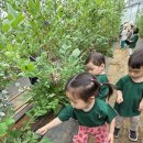 6월: 블루베리 농장 체험(토리반) 이미지