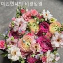 여민언니의비밀정원 네이버블로그