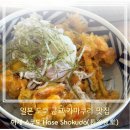 여기서 한잔하세 | 가마쿠라 하세역 맛집 추천｜하세 쇼쿠도 Hase...텐동과 함박스테이크 후기 (+웨이팅, 분위기, 생맥주)