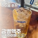서구-02-93 | 관저동 술집 금별맥주 대전관저점 맛있는 피치하이볼 추천