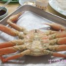 유달식당 이미지