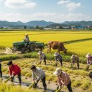 사상행정사 이미지