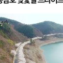 용담면 벚꽃길 이미지