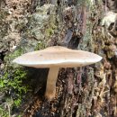 매봉산 농장 이미지