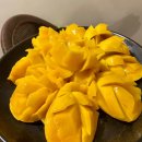 리조트약국 이미지