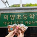 덕양초등학교