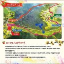 제335차 의성 금성산~비봉산 산수유 산행 (2025-03-22) 이미지