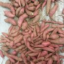 병수네농장 이미지