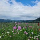 낭만술꾼 이미지