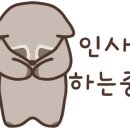강남족욕 이미지