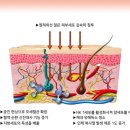 온열찜질카페숲