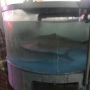 조원목장 이미지