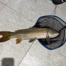 대동실내낚시터 | 인천 서구 심곡동 대동실내낚시터