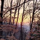 하송주유소 - 정읍시 말목장터로 559 | 하송주유소