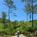 월드 C.C 이미지