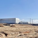 동막동(6) 이미지