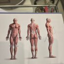 비엠 필라테스&PT | [미사 운동] 비엠 더 프라이빗 필라테스&amp;PT 미사점 | PT 2회차 후기