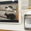 주식회사 모픽 이미지