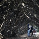 무심교옆 이미지