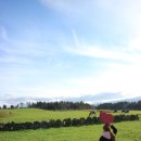 해성목장 이미지