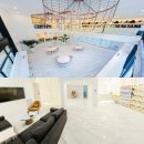 제이애견샵 이미지