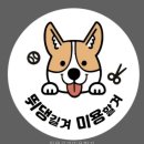 뛰댕길겨미용할겨 - 청주시 흥덕구 직지대로 635 | 뛰댕길겨미용할겨