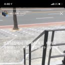 프리티도그 이미지