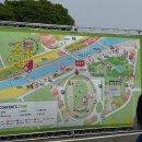 봄꽃처럼 | 2026 화순 봄꽃축제 다녀온 후기 먹거리 및 주차장 셔틀버스