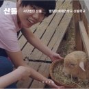 발달장애인대안학교 산돌학교 이미지