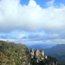 블루마운틴 이미지