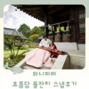 와니파파 효종당 돌잔치스냅 후기 내돈내산