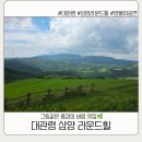 여기가입구 | 대관령 삼양라운드힐(구 삼양목장) 후기｜양몰이 공연부터 전망대까지, 여름에 꼭 가봐야 할 목장