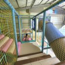 애니멍 | 남양주 키즈카페 플레이킹덤 최저가예매 가성비최고 마음껏 뛰어놀수 있는 넓고 안전한 실내놀이터...