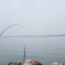 간월도캠핑장 이미지