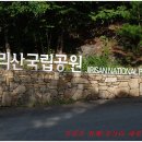 지리산 부상 때문에 산행은 조금하고 도로를 30km 걷다. 이미지