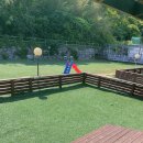 웰컴독 애견펜션 이미지