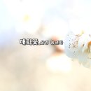 봄날 이미지