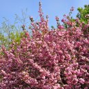 진양호공원전망대 이미지