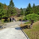 미동산수목원 이미지