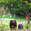 더포레스트 이미지