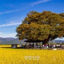 위드석봉협동조합